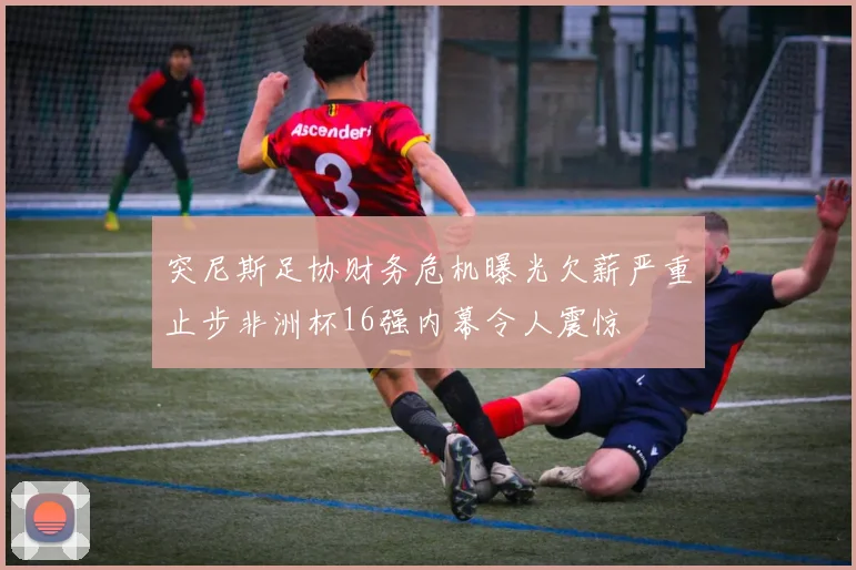 突尼斯足协财务危机曝光欠薪严重止步非洲杯16强内幕令人震惊